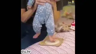 😍 SOO CUTE !!! The Planet's Cutest Babies are Here 🥰 Funny Baby Videos #shorts