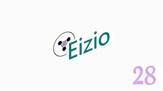 Eizio 28