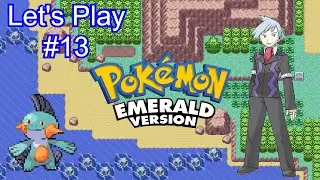 Heroes of Mauville City | Route 118-119 Adventures | Pokemon Emerald [Episode 13]