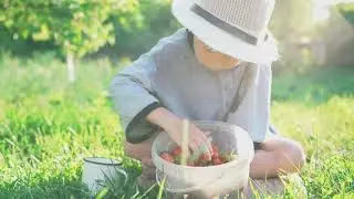 Finn's Wild Adventure Picking Berries in the Magical Fruit Forest!
