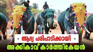 ആദ്യപരിപാടി എടുത്ത് അക്കികാവ് കാർത്തികേയൻ | Akkikavu Karthikeyan First Programme 2025 | Kuttiyankavu