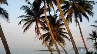 Ypsylon  Tourist Resort Sri Lanka. Наш любимый отель.