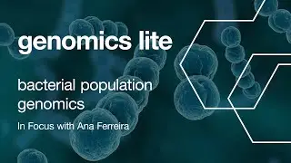 Genomics Lite: Bacterial Population Genomics