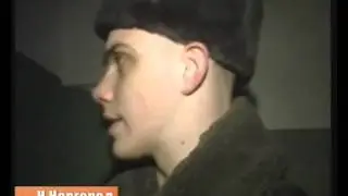 Saving a cat stuck in a tree in Russia, Very funny