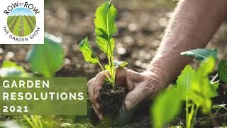 Our 2021 New Year RESOLUTIONS for the VEGETABLE GARDEN