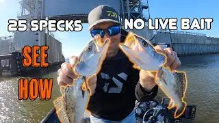 How I Caught a Limit of Speckled Trout At The Great Wall of Chalmette