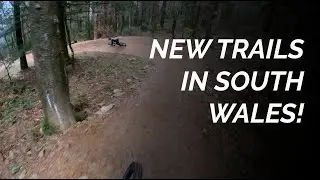 TRAIL REVAMP - Cwmcarn's Evil Dead Ted gets a make over. Trail Check on Evil Dead Ted.