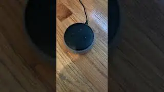 How to Use Echo Dot for Weather (Voice Commands)