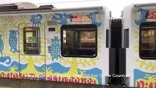 Local Train in the Japanese Countryside 