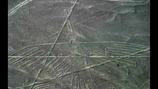 Virtual Guide To Nazca Peru: The Tree Of Life Geoglyph