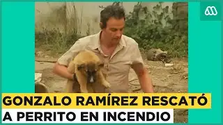 Gonzalo Ramírez rescata a perrito de graves incendios forestales en Tomé