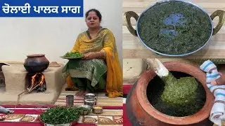 ਗਰਮੀਆਂ ਵਿੱਚ ਸਾਗ ਖਾਣ ਦਾ ਦਿਲ ਕਰੇ ਤਾਂ ਫਟਾਫ਼ਟ ਬਣਾਓ ਚੋਲਾਈ ਪਾਲਕ ਦਾ ਸਾਗ | Chaulai Palak Saag | चौलाई का साग