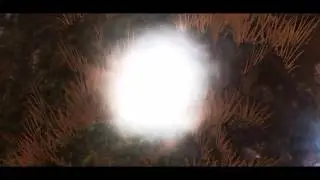Gameplay 