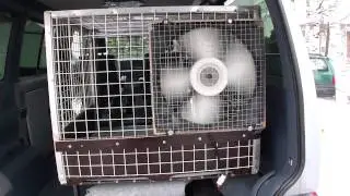 VW T4 Caravelle dog cage supercool fan demo