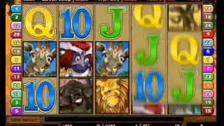 Mega Moolah Progressive Slot Machine