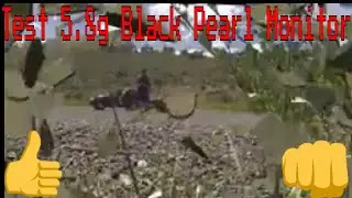 Test 5.8G on Black Pearl monitor