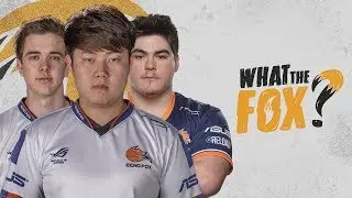 JERSEY GIVEAWAY, Summer Split, #LOLFOX Academy, and more on WHAT THE FOX