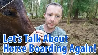 Taking Care Of Horses: Talking About Horse Boarding - Part 2