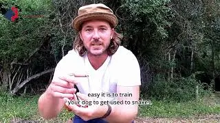 Kurdt Greenwood demonstrates how to make your dog avoid snakes | Always Faithful Dog Training