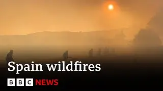 Spain counts the cost of 'nightmare' wildfire summer | BBC News