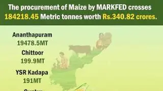 The #procurement of #Maize by #MARKFED crosses 184218.45 Metric tonnes worth Rs.340.82 crores.