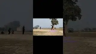 Batting #shorts #ytshorts #cricket