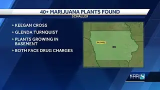 2 arrested after police find over 40 marijuana plants in Sac County home
