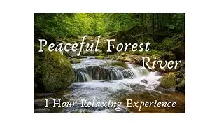 Relaxing River Sounds-Peaceful Forest River- 1 Hour long - HD - Nature Video