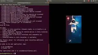 Flutter RaisedButton Simple Example