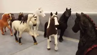 Die Bestimmung - Trailer Schleich