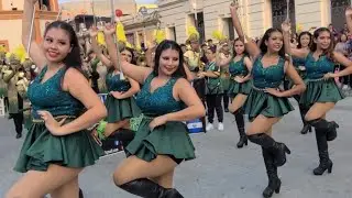 Lluvia Hazme un Favor 🐊💃 COCODRILOS MARCHING BAND en el Centro Histórico 2024