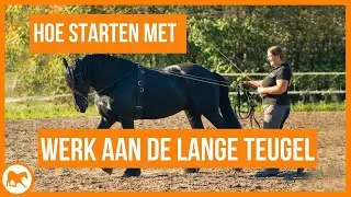 Beginnen met werken aan de Lange Teugel