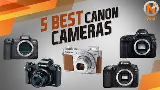 5 Best Canon Cameras 2021