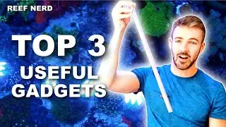 Top 3 Useful Gadgets for your Reef Tank