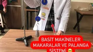 BASİT MAKİNELER (Makaralar ve Palanga Sistemi)