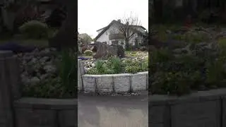 Waste Paper collection day in Germany , Part 1 & 2(2)