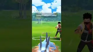 Aggron vs Swampert