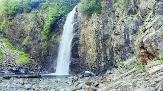 Peaceful Forest Hike Near Snoqualmie | ASMR No Talking Walk