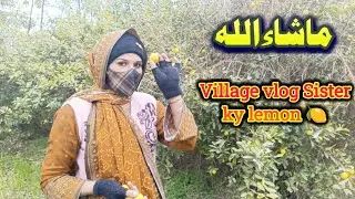 Sister ky lemon 🍋|| village family vlog 🤗|| farah ki duniya 