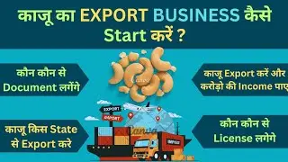 How to start export of Cashew from India ? Cashew export business ?| business ideas