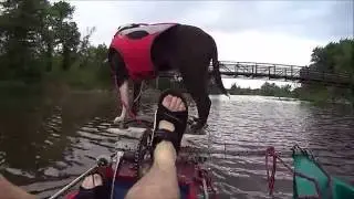 Human Powered Pedal Boat 2016