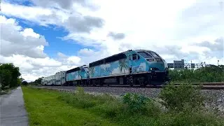Tri Rail along the SFRTA in DFB, Boca Raton, and the Boynton Canal 10/9/22