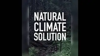 Climate Change - A Short Film by Priya Gupta ll Climate Reality Project ll