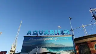 Travel Massive Cape Town. Two Oceans Aquarium with WTM Africa.