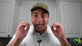 3 Tips &ndash; How to know if the Sprouts are good and safe to eat or not.