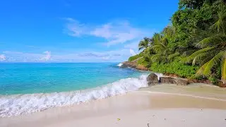 🏝 Seychelles  Shoals: The Most Relaxing Waves in The World