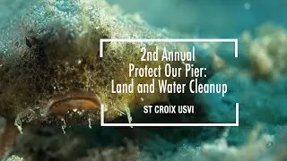 2nd Annual Protect Our Pier: Land & Water Cleanup