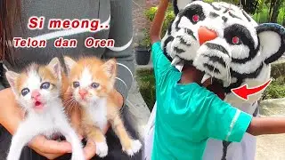 Dimakan barongan gara2 nyuri kucing meong