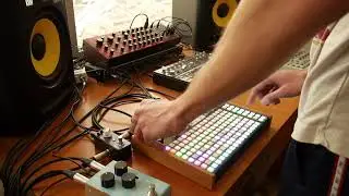 AFCT - Live session 1 - Synthstrom Deluge/Behringer TD3, Neutron