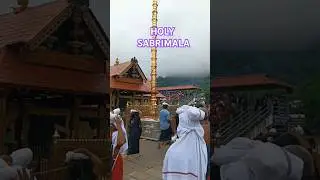 Holy Sabrimala #sabrimala #sabrimalatemple #temple